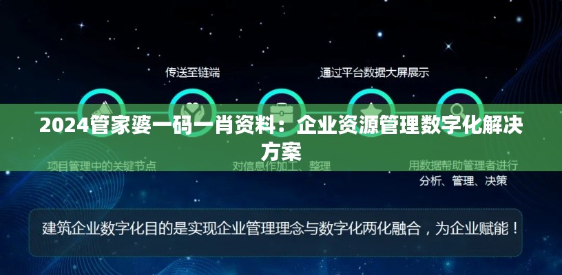 2024管家婆一码一肖资料：企业资源管理数字化解决方案