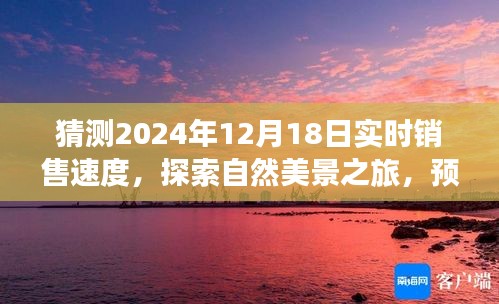 『探索未来销售奇迹，预测2024年实时销售速度，心灵之旅感受自然美景的魅力』