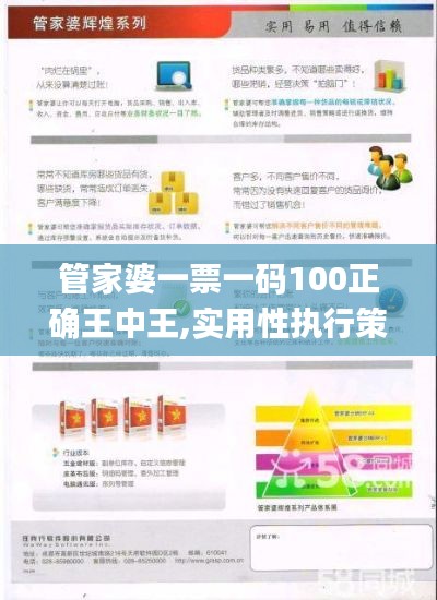 管家婆一票一码100正确王中王,实用性执行策略讲解_Deluxe7.922