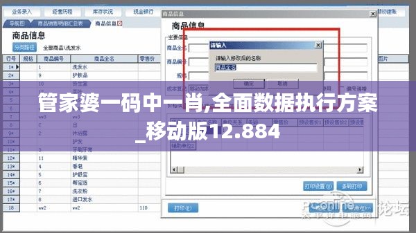 管家婆一码中一肖,全面数据执行方案_移动版12.884