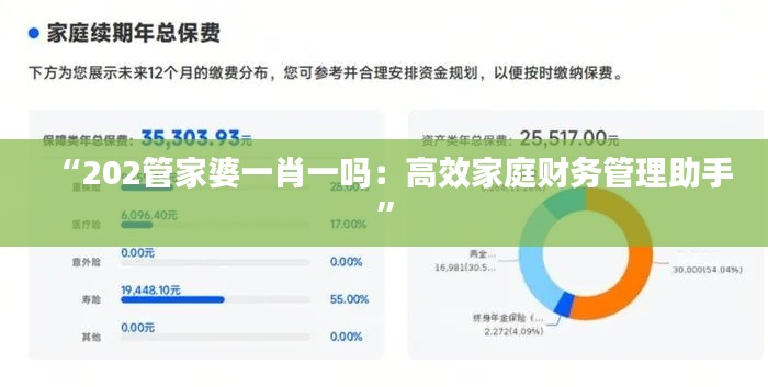 “202管家婆一肖一吗：高效家庭财务管理助手”