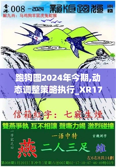 跑狗图2024年今期,动态调整策略执行_XR17.109