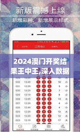 2O24澳门开奖结果王中王,深入数据执行计划_复刻版10.310