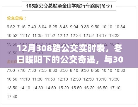 冬日暖阳下的温馨公交之旅，揭秘广州公交308路实时表与日常奇遇