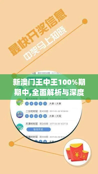 新澳门王中王100%期期中,全面解析与深度体验_静态版110.296