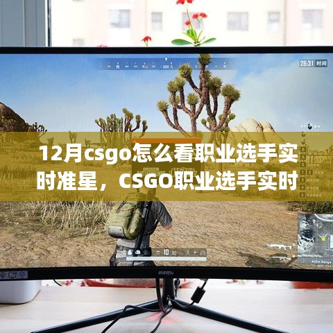 12月赛场内外焦点，CSGO职业选手实时准星探析