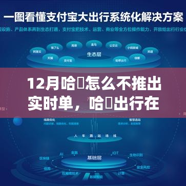 哈啰出行12月未推出实时单功能，深度解析背后的原因与考量