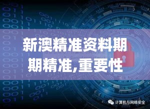 新澳精准资料期期精准,重要性解释落实方法_增强版11.710