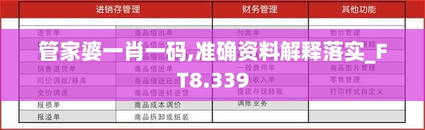 管家婆一肖一码,准确资料解释落实_FT8.339