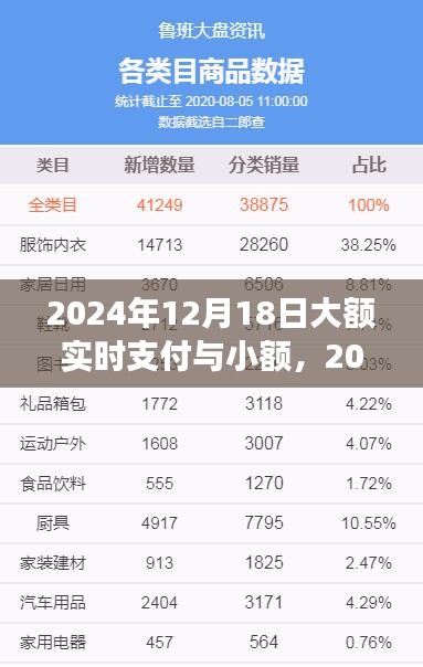 探析大额实时支付与小额支付系统在2024年的发展及其影响