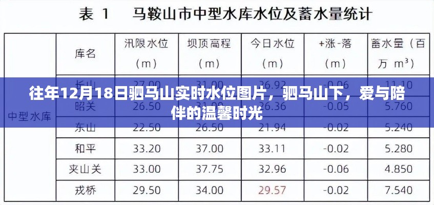 驷马山实时水位下的爱与陪伴时光