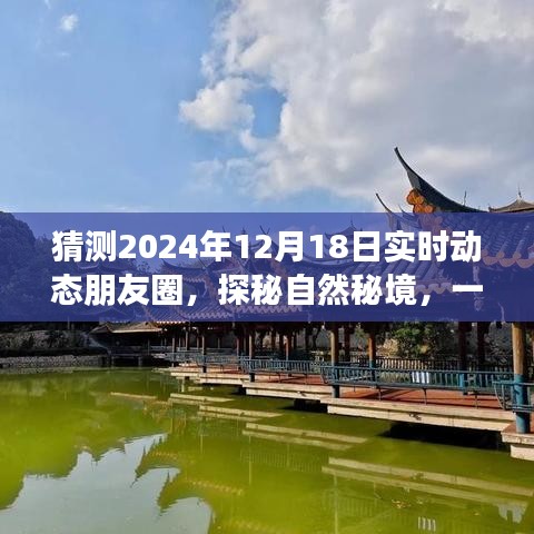 探秘自然秘境的心灵之旅猜想与期待，朋友圈实时动态预测（2024年12月18日）