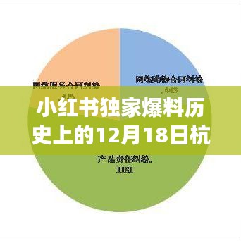 小红书独家揭秘，历史上的杭州高架路况回顾，亲历者讲述真实经历！