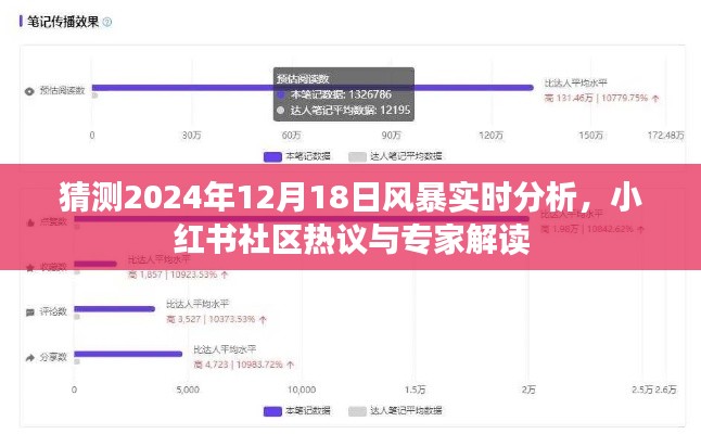 小红书热议揭秘，2024年风暴实时分析专家解读来袭！