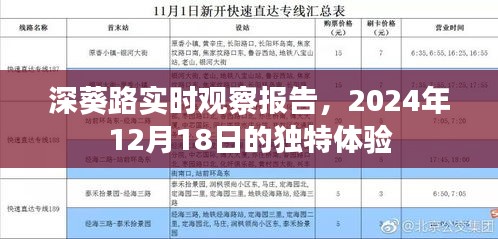 深葵路独特体验观察报告，实时记录与体验分享（2024年12月18日）