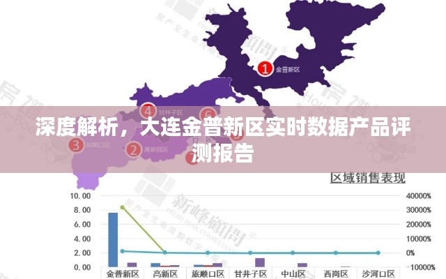 大连金普新区实时数据产品深度评测报告