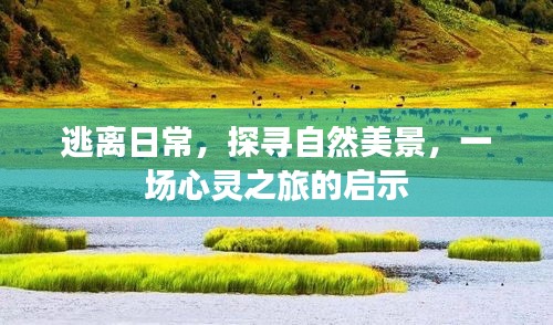 逃离日常喧嚣，探寻自然美景的心灵之旅启示