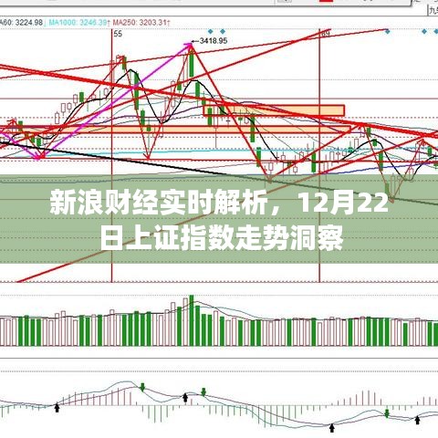 新浪财经实时解析，揭秘上证指数走势洞察，洞悉市场动向