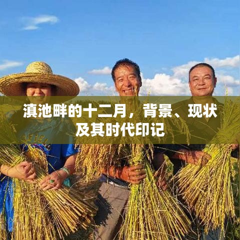 滇池畔的十二月，背景、现状与时代印记