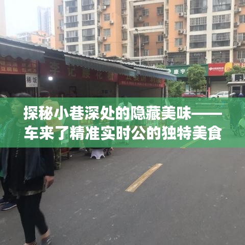 车来了实时导航，探秘小巷深处的独特美食之旅