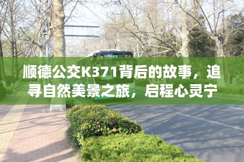 顺德公交K371背后的故事，追寻自然美景与心灵宁静之旅