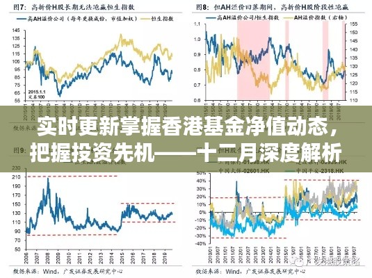 实时掌握香港基金净值动态，深度解析十二月香港基金投资走势与把握先机