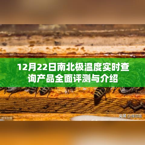 12月22日南北极温度实时查询产品全面解析与评测报告