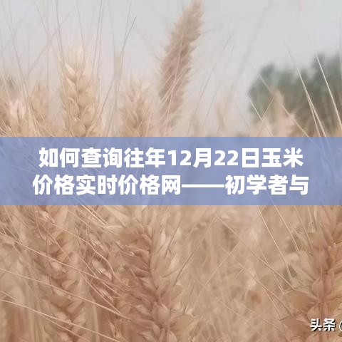 如何查询往年12月22日玉米价格实时数据——初学者与进阶用户指南