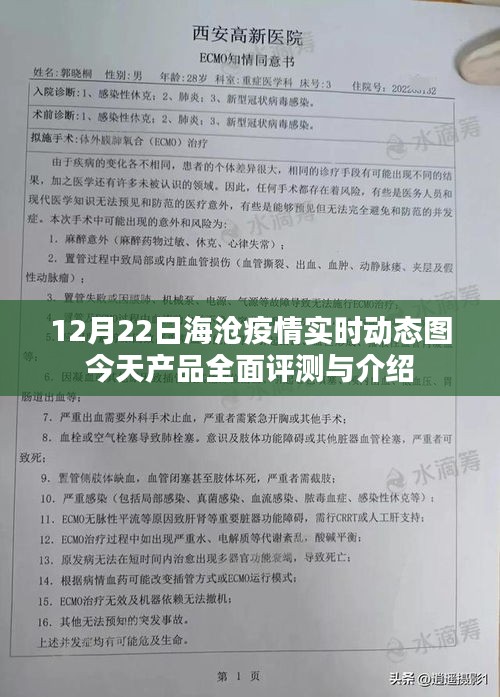 12月22日海沧疫情实时动态图及今日产品全面评测与介绍