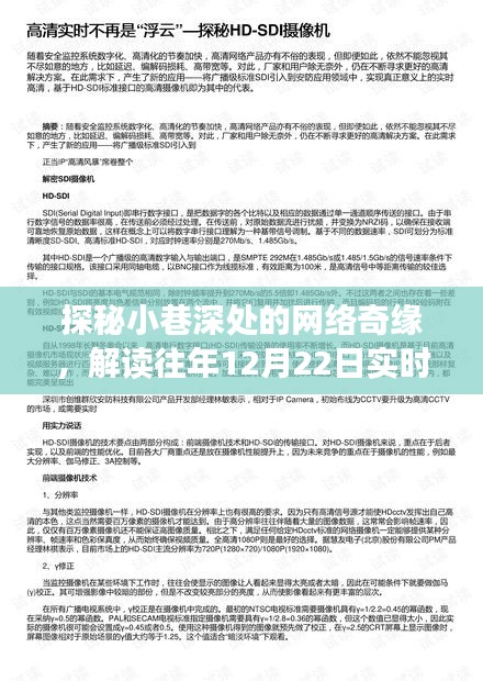 探秘小巷深处的网络奇缘，揭秘往年网络带宽报告背后的故事