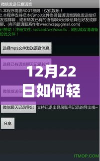 微信游戏实时语音功能轻松开启指南（12月22日版）