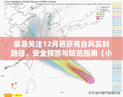 紧急关注，芭莎克台风实时路径预警与防范指南（小红书风格）