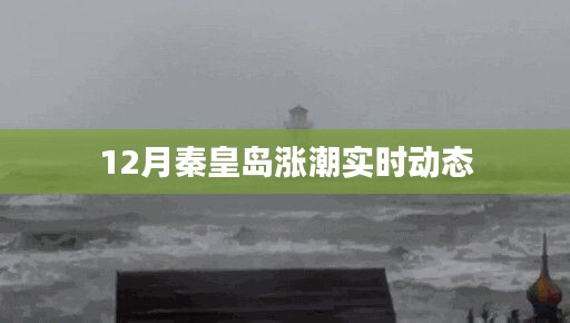 秦皇岛12月涨潮最新实时动态