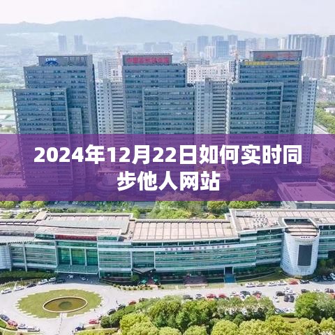 如何实时同步他人网站至2024年12月22日？