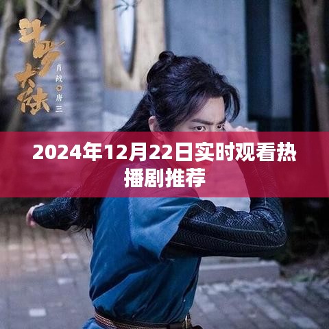 推荐热播剧，实时观看指南（2024年12月22日）