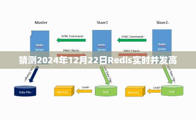 2024年12月 第127页