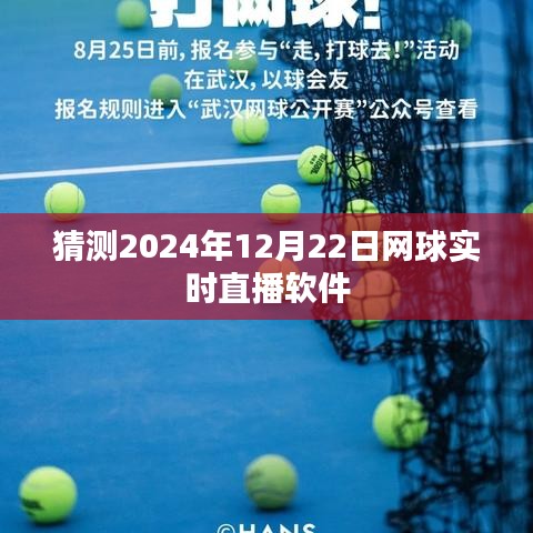 预测，2024年网球直播软件实时观看体验分享