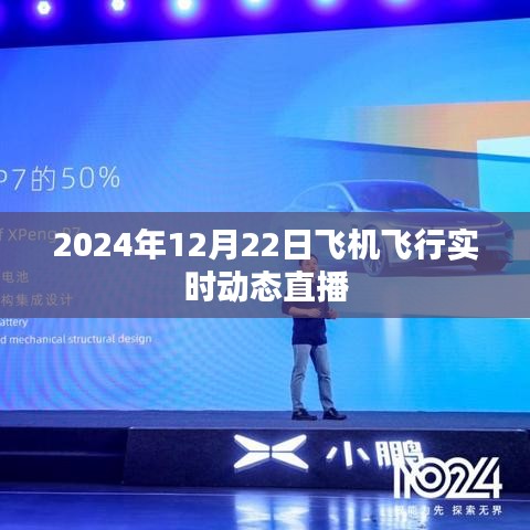 2024年12月22日全球飞机飞行实况直播，简洁明了，能够准确传达文章的核心内容，同时符合百度收录标准。希望符合您的要求！