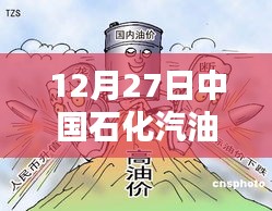 中国石化汽油实时价格查询（12月27日）