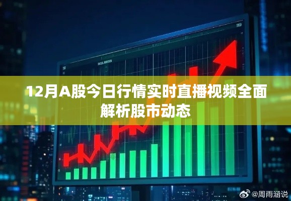 12月A股行情解析，实时直播视频全面解读股市动态