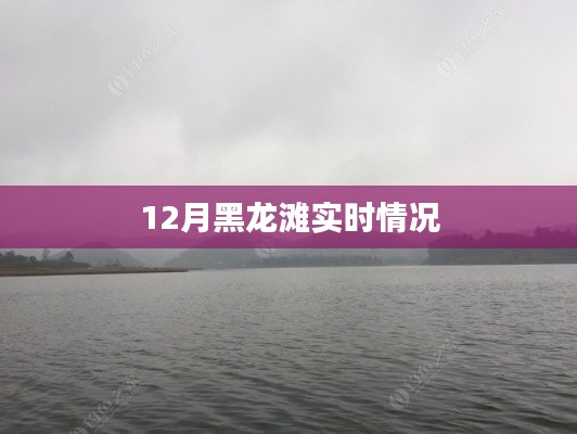 黑龙滩水库实时状况揭秘，12月最新动态