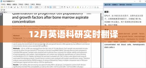 英语科研实时翻译报告（12月版）