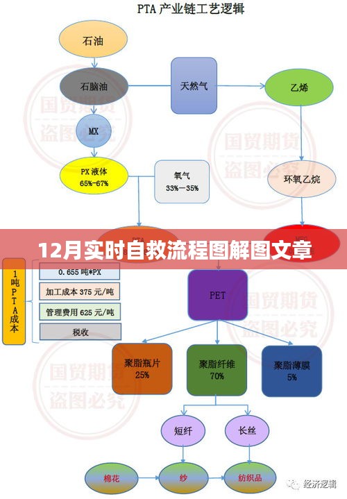 12月实时自救流程图详解