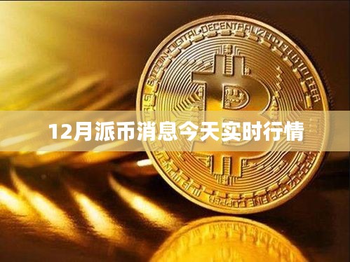 最新消息，12月派币实时行情更新