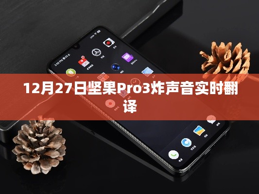 坚果Pro 3炸声音实时翻译功能上线