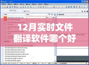 实时文件翻译软件推荐，12月优选榜单