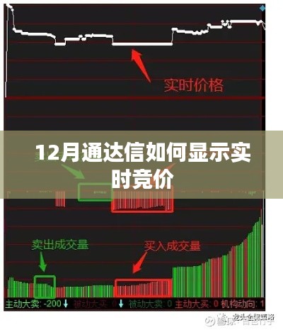 通达信实时竞价显示教程，12月操作指南