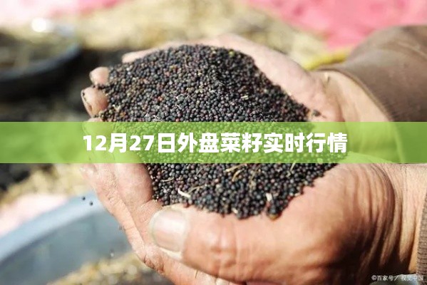 12月27日外盘菜籽市场最新行情