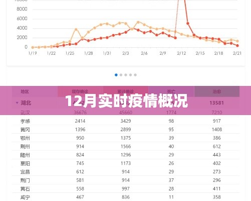 最新！全球疫情动态概览（12月实时更新）