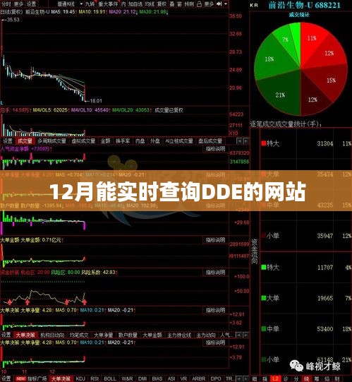 实时DDE数据查询网站_12月股市动态一键掌握